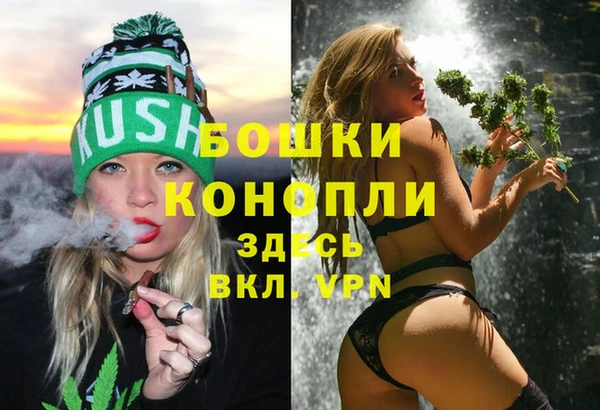 мдпв Янаул