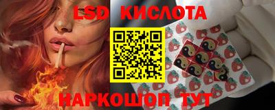 прущие крисы Абакан