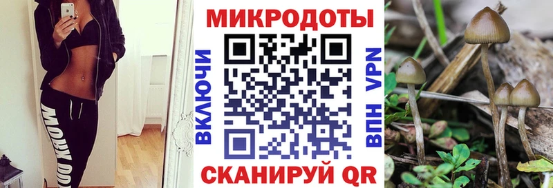 Псилоцибиновые грибы мицелий сколько стоит Альметьевск