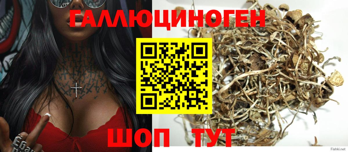 Псилоцибиновые грибы ЛСД Альметьевск